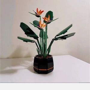 Bird of Paradise Plant with Black Planter